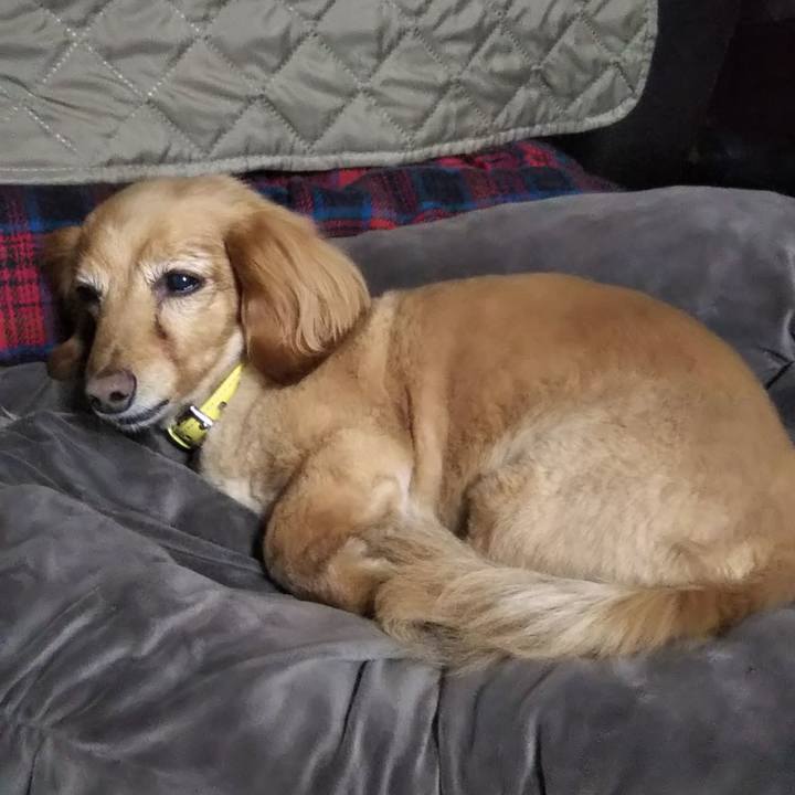 628afd32 a506 4b07 aa27 a1ca50d8904a 1622020042558