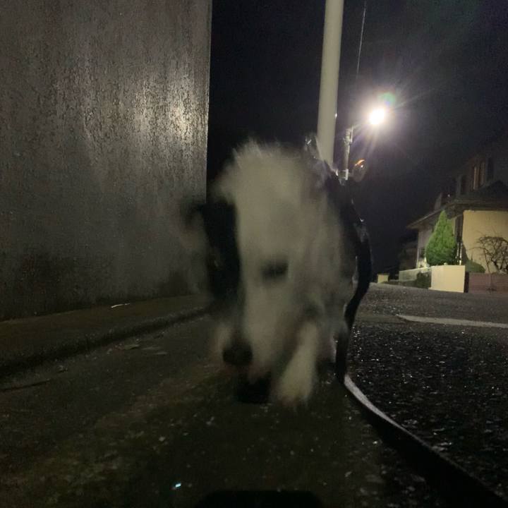 628b0b56 ab8a 4b41 bcb9 667a04b3f58d 1733056586987