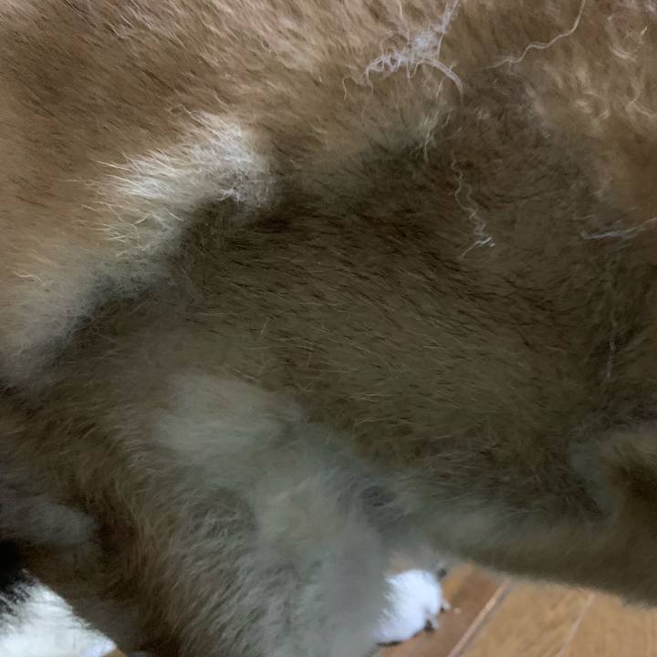 628b3ecc c7bc 4cc6 8acf c59d59b3e573 1672487867604