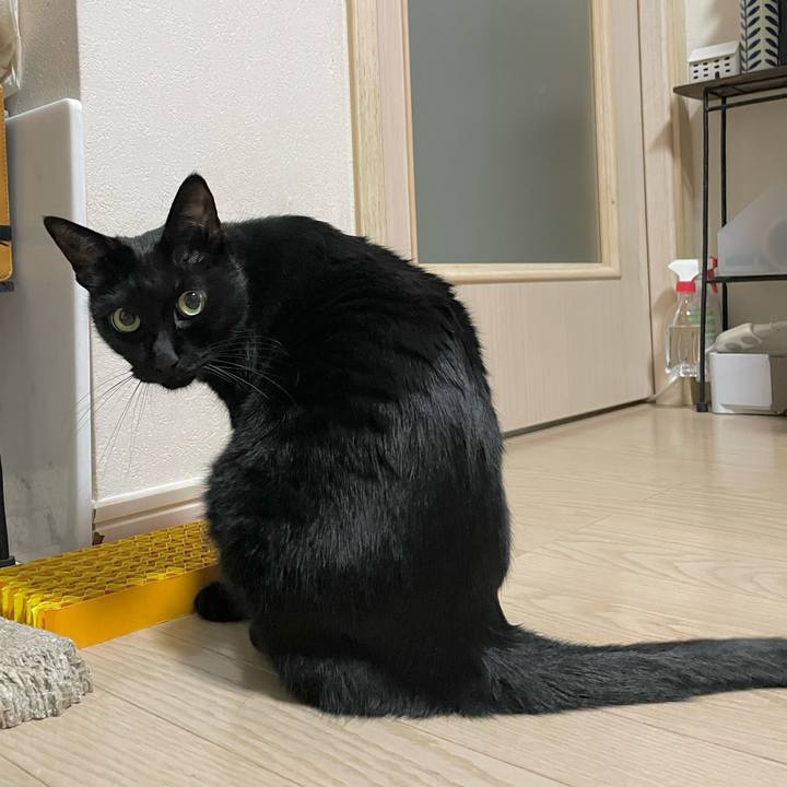 628b3fd2 32ae 453f a943 861ff66c1438 1665145986593