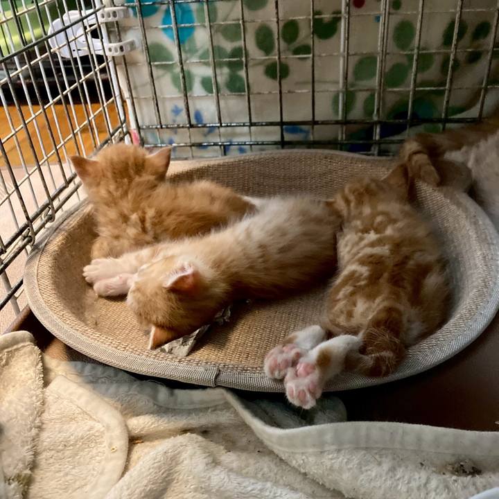 628b44fc 5b8c 486d b869 6d8aac2339bc 1767498952955