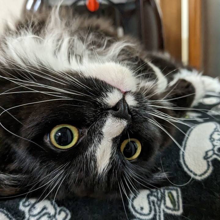 628b5754 2e87 4083 afd2 e38ec4e76fbf 1674823612743