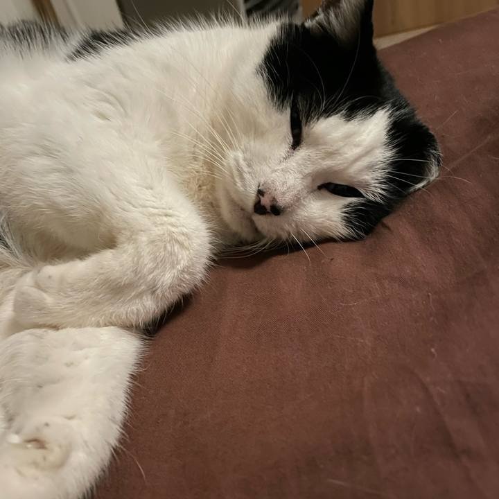 628b6418 1a1c 4abe ab86 a97a52c3f9ea 1737483702032