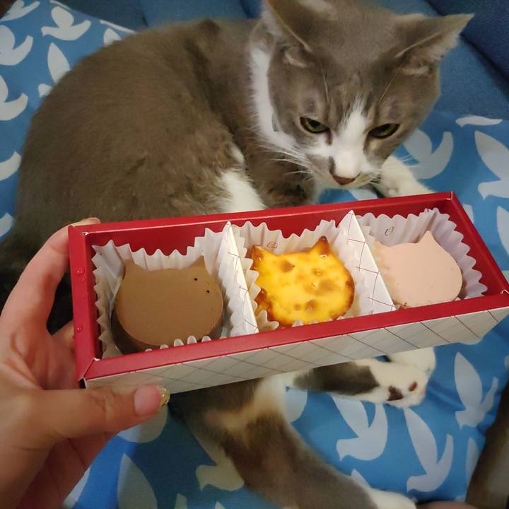 628b8ace cce8 4f42 971e aebfb47f9e04 1699102297214