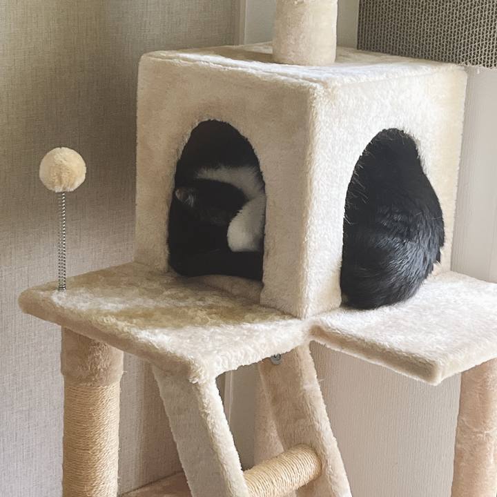 628bb50d b268 4329 92ed ceed2950bb3d 1654993064918