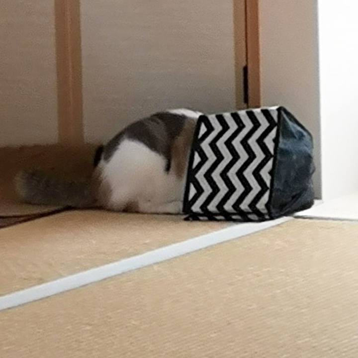 628bdb2f fb3a 4499 9570 308741c6ed18 1599215625519