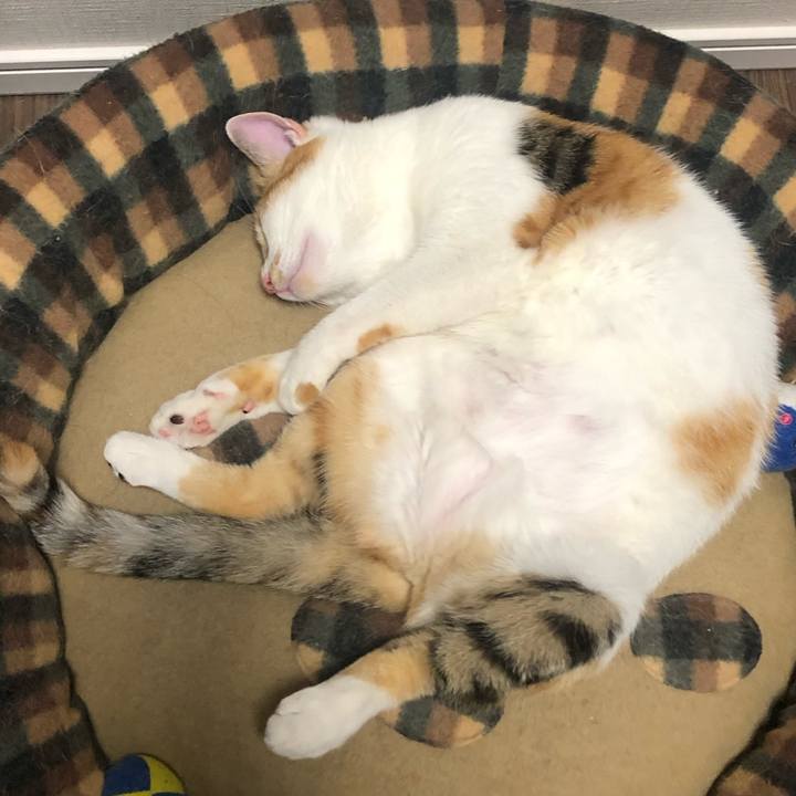 628bf7c9 6d3a 4660 954a 799e1bedc699 1592577819642