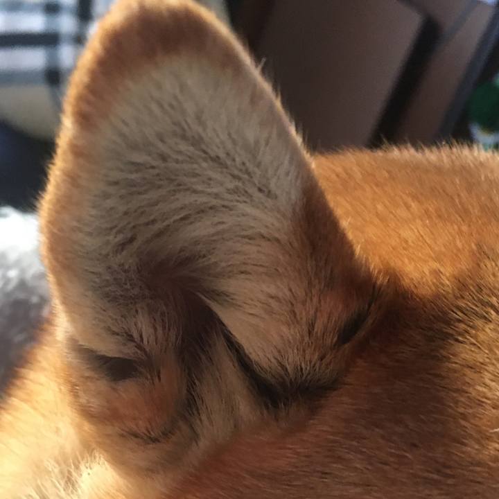 628bfd7b 3afe 4bc6 b75d 9bc14b054031 1641513433427