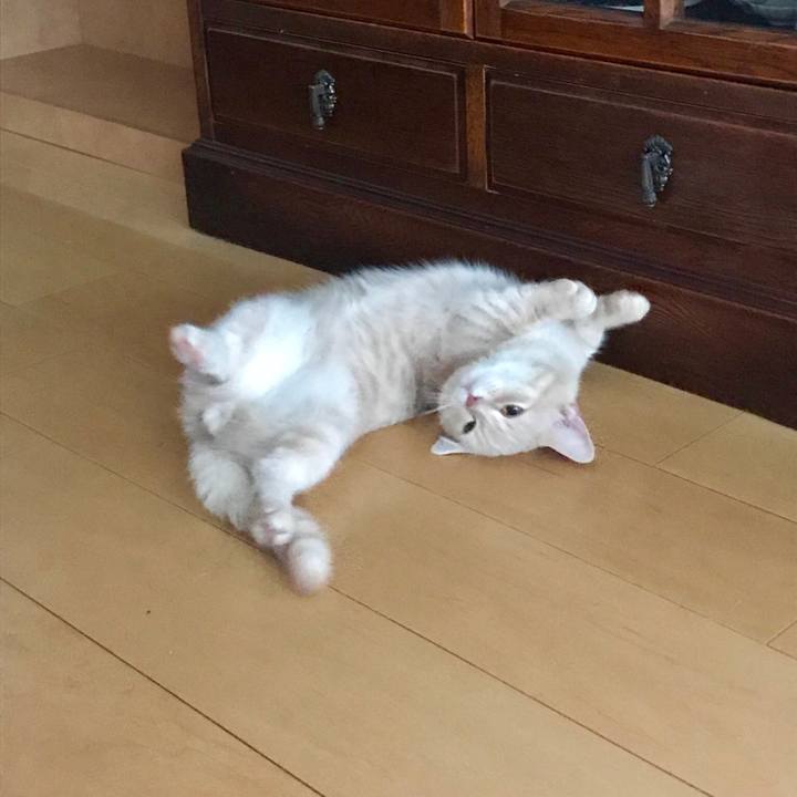 628c06b7 16b2 462a 9456 659fb96b6926 1533718332032