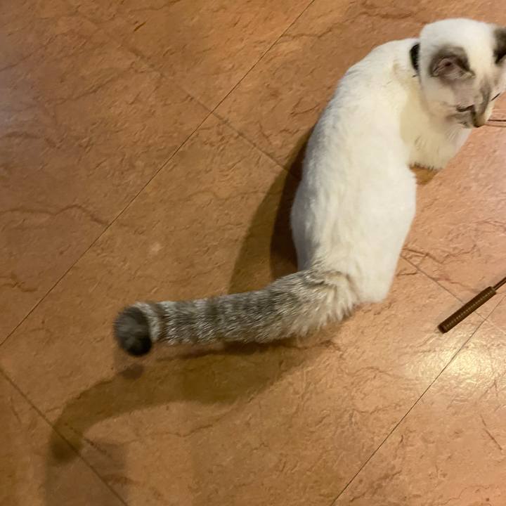 628c0ad6 4f96 4b2c b733 c5e6a9b5c194 1637228735023