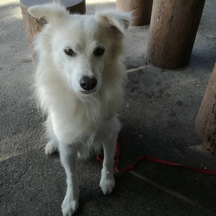 628c1174 fd0d 4310 9f93 284e7caeb6e1 1508291942494