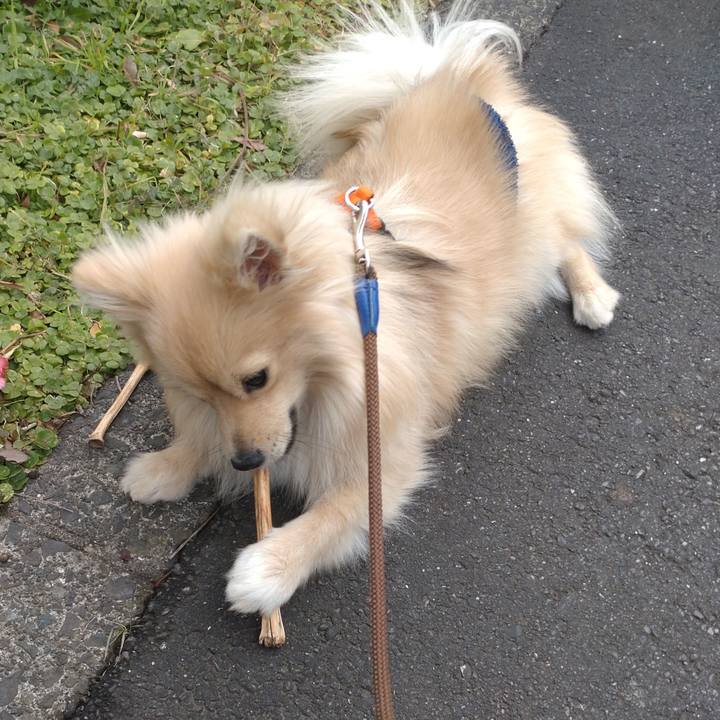 628c1497 2e35 45e1 a234 3ddfc3c1509c 1738885465773