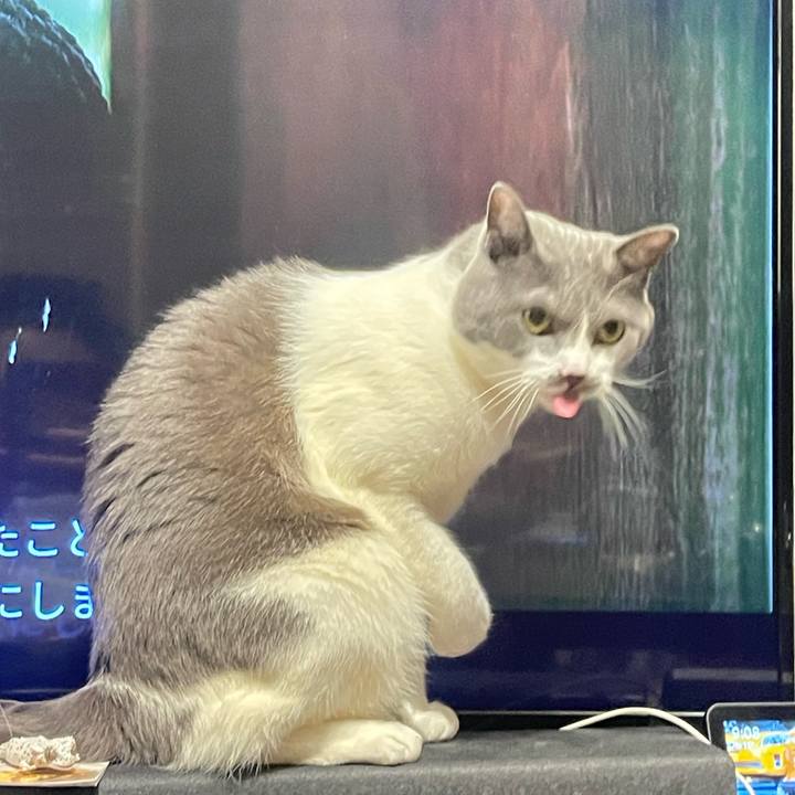 628c1931 d84e 4ca1 b25c a6a71e1d0ea5 1714651809012