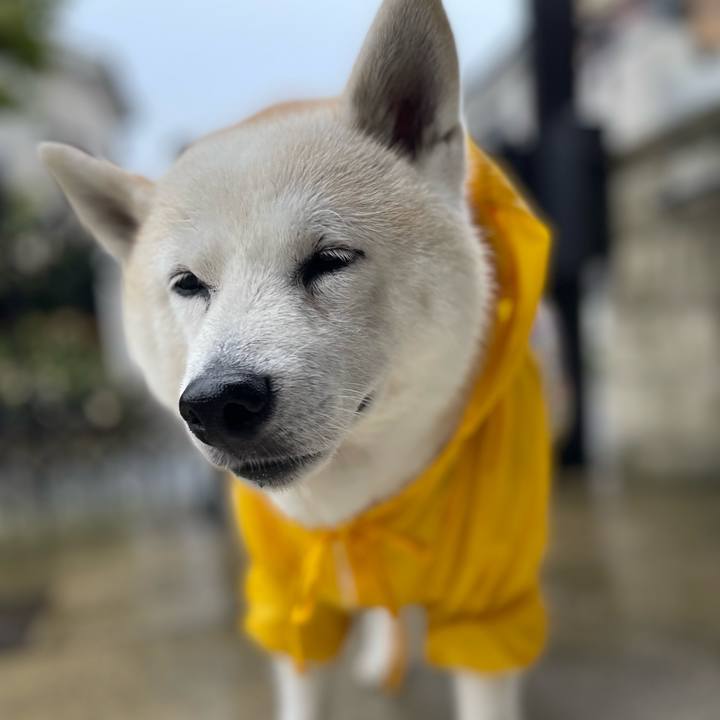 628c398f faa9 412d 8cf9 c4ef2cbdcaa8 1661902122694