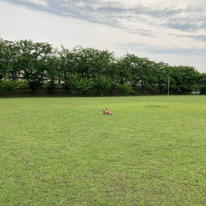 628c3bd5 fb31 4112 be0f 6dcd8334427f 1655115577067