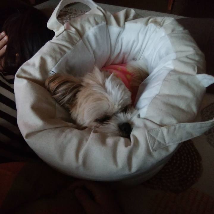 628c9034 70aa 4009 9d70 667168e482f0 1509237058092