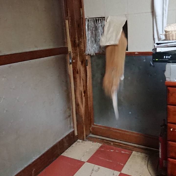 628cb466 b07e 4a71 91d1 8f4edf045b7a 1574459088241