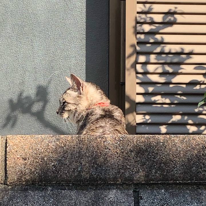 628d2943 42df 486d 9d2e 3254a8921c99 1551749124022