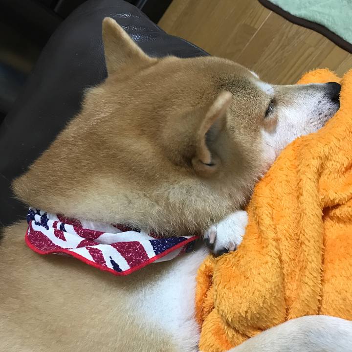 628d4b2a 30f5 40e3 8a33 162d3d09fa0d 1543062050057