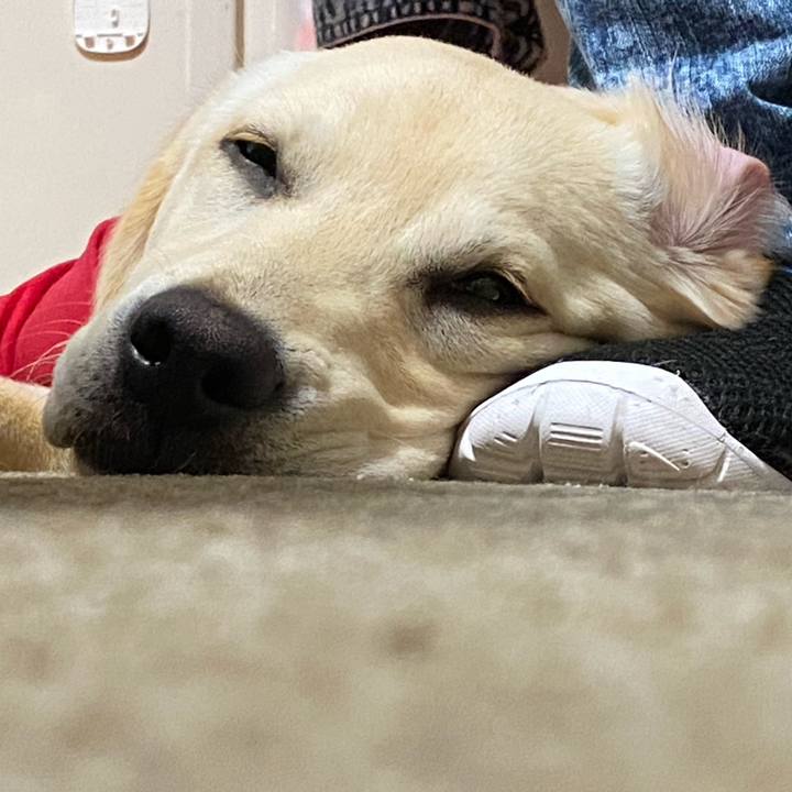 628dbc31 ed61 4519 8080 6b46e14f2492 1618492345889