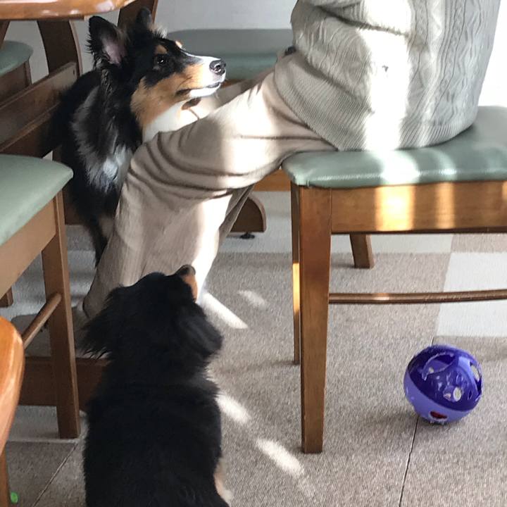 628e4a16 3eb7 4a28 9e40 0edaef352c58 1523570225584