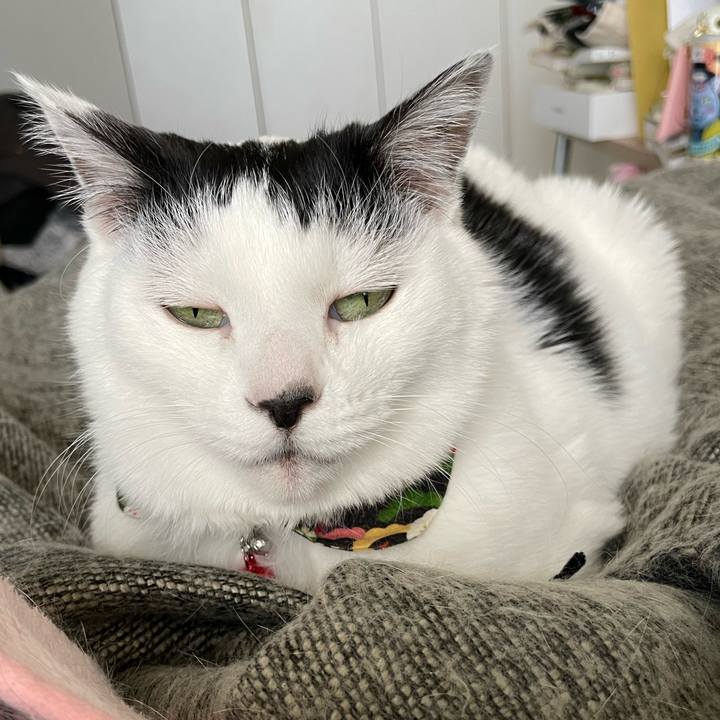 628e558a ec2b 43a9 875e 41117954961c 1641181537044