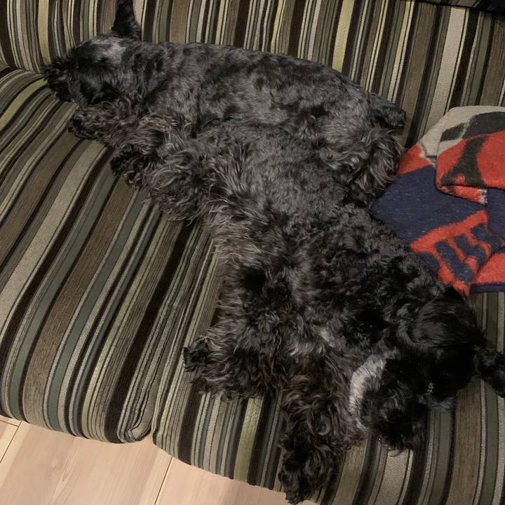 628e600f 5be6 4136 8800 af071d7c4317 1620302759385