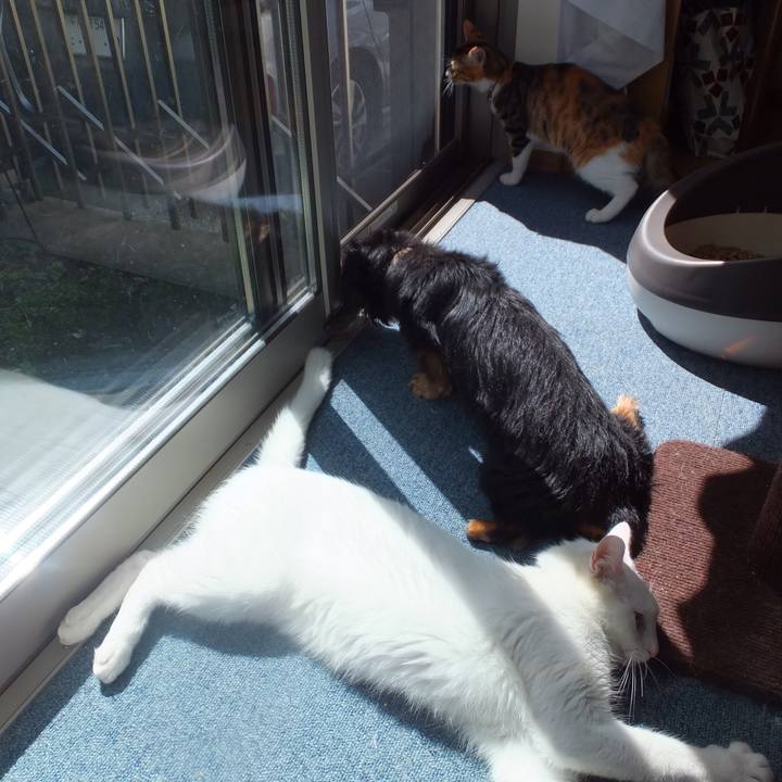 628e7e79 42f2 4c70 89b2 977e7ff0e4a0 1632193322780