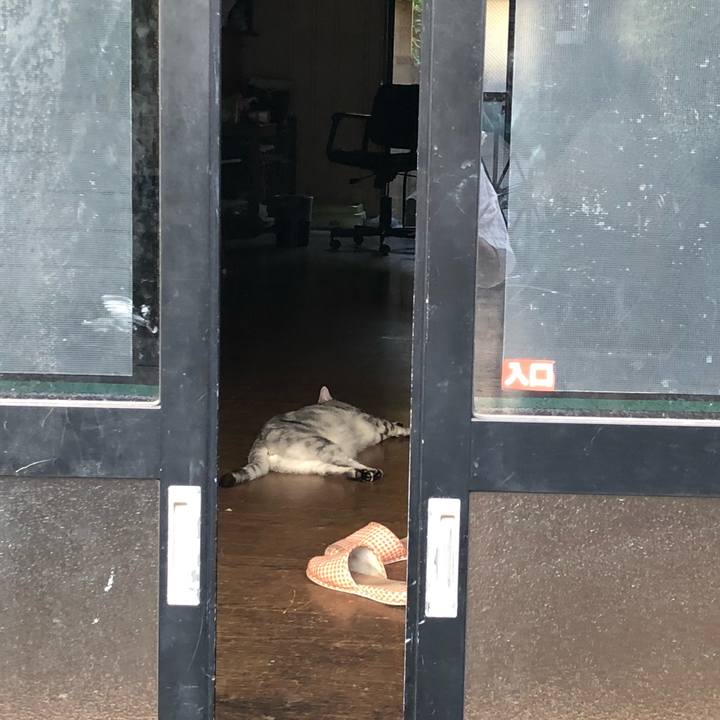 628e8900 69aa 4ceb a86a 7bdcf5cc94d7 1533242655205