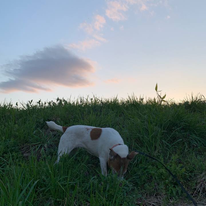 628eb1dd 061e 41a0 b054 0a0f65fc4857 1615713156165