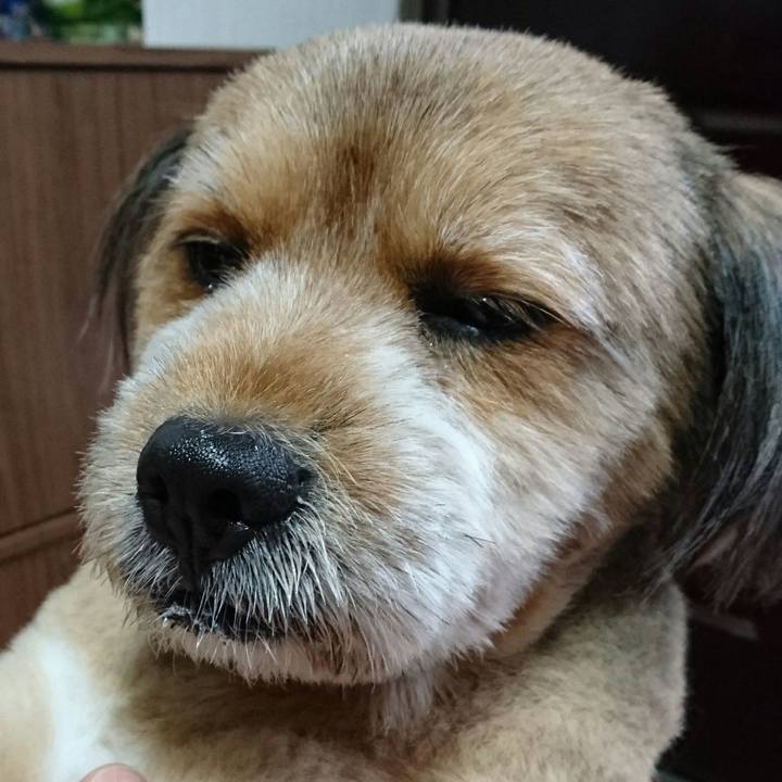 628eb36b df16 4c52 9674 2d3140ff2a5c 1537691142865