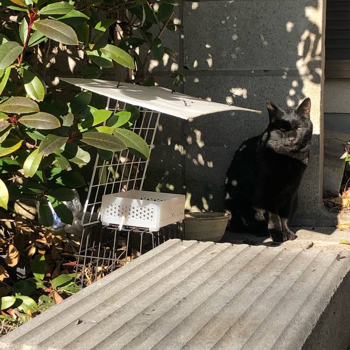 628ebfec 33f1 48d1 91ef c1215a723d7a 1614440140935