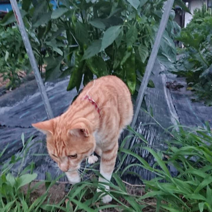 628ec97b 6b2f 4a37 bb3d ebd7d85d2c03 1564135407056