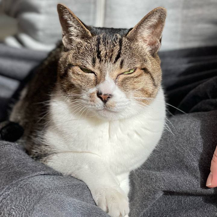 628eca6f 37f7 4e57 8871 1859de3d77fd 1639274687943