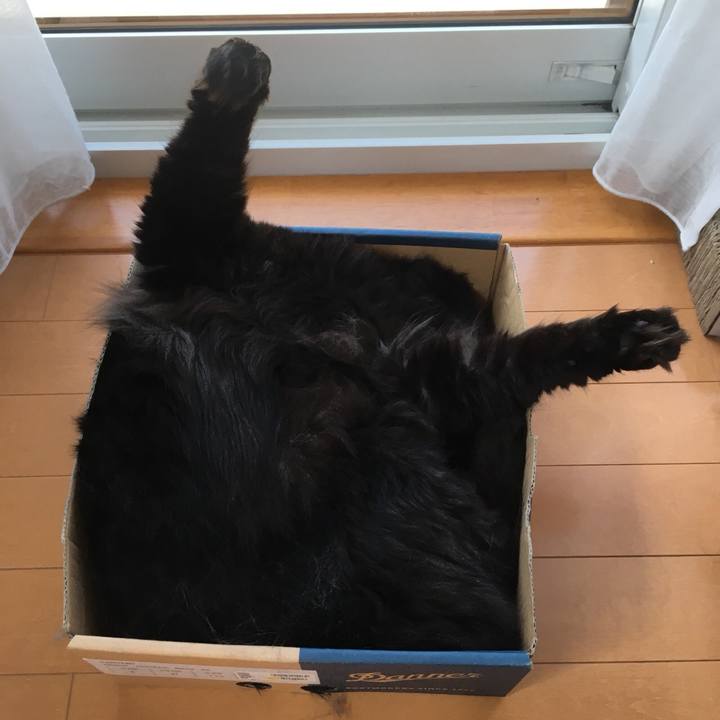 628ef063 d40c 447c 8fdb 1b809506a4bc 1561514144979