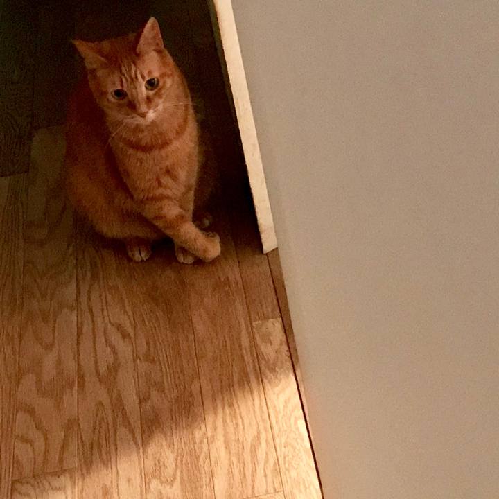 628f09d3 0eaa 45d7 b520 c7aaf616181f 1531287938851