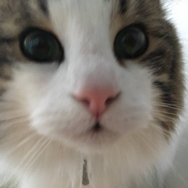 628f2d87 847d 4485 8e64 827726c9b8bc 1524030312691