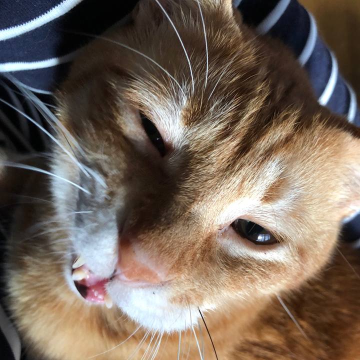 628f4747 db8e 468a 8f23 9bbf75851faf 1661549633939