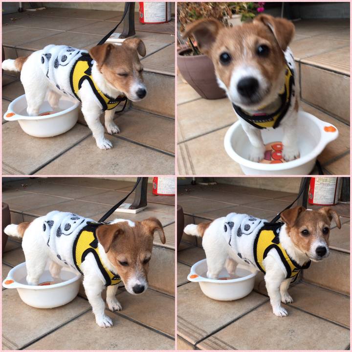 628f5d6c 21cf 41aa 9b51 240dcc195deb 1549071856292