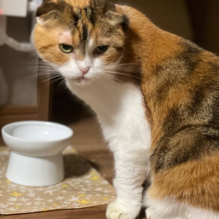 628fbff8 1825 429d 8b1d 4954a7379338 1696168965993