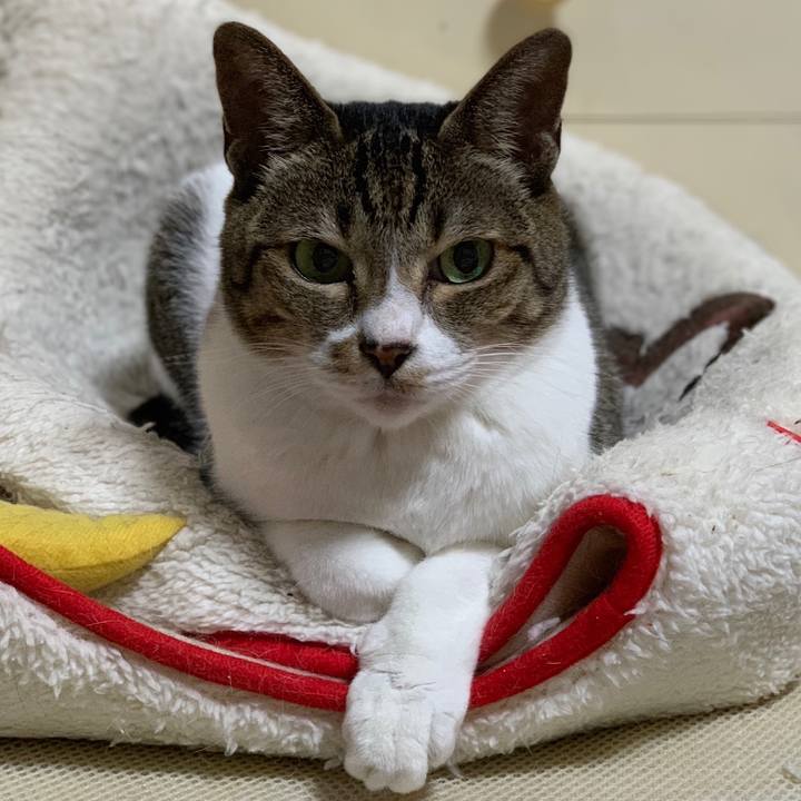 628fef6d 23ef 4924 99a8 41ce17a87ba6 1539221142223