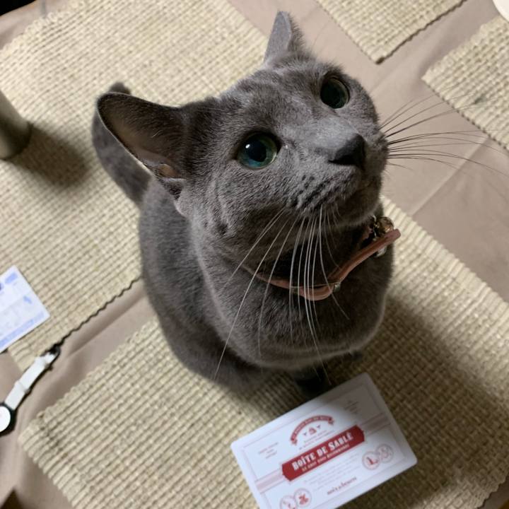 628ff920 1bdd 4797 a1e8 5030200559ea 1572088655636