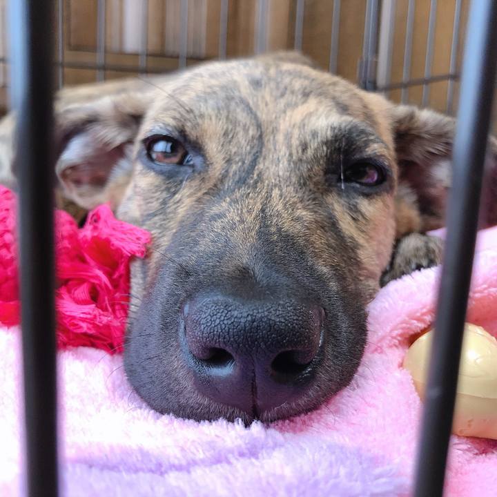 62900ef6 c3ab 495b 9bc3 a4a950a9486c 1569482350467