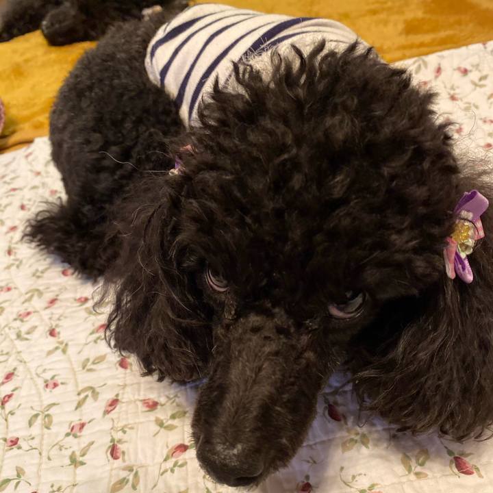 62902d0a 8ba6 4e56 998d 4a99fb36436c 1602934068991