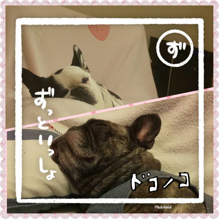 6290639a 3992 458e 8531 6709c42684f3 1685976953849