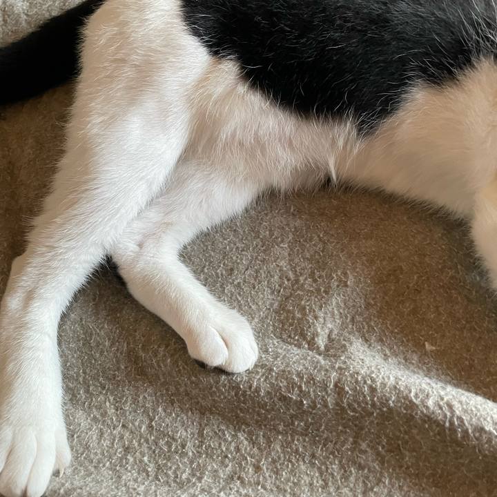 62906547 1383 415e a59d df202938998b 1688116143634