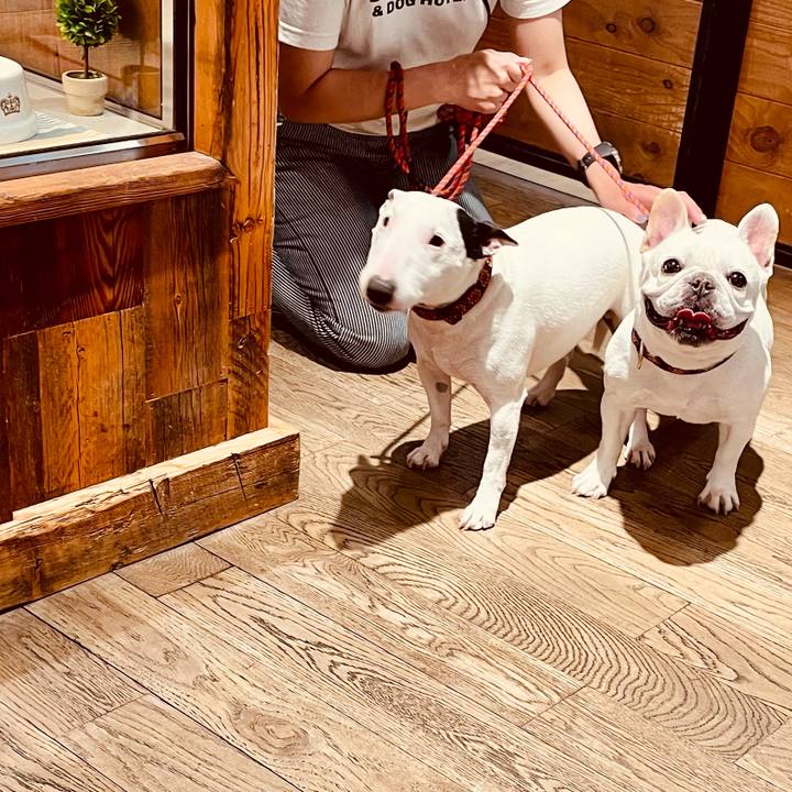 629066b8 efdf 411f 9f80 59e0e346d27c 1621151714990