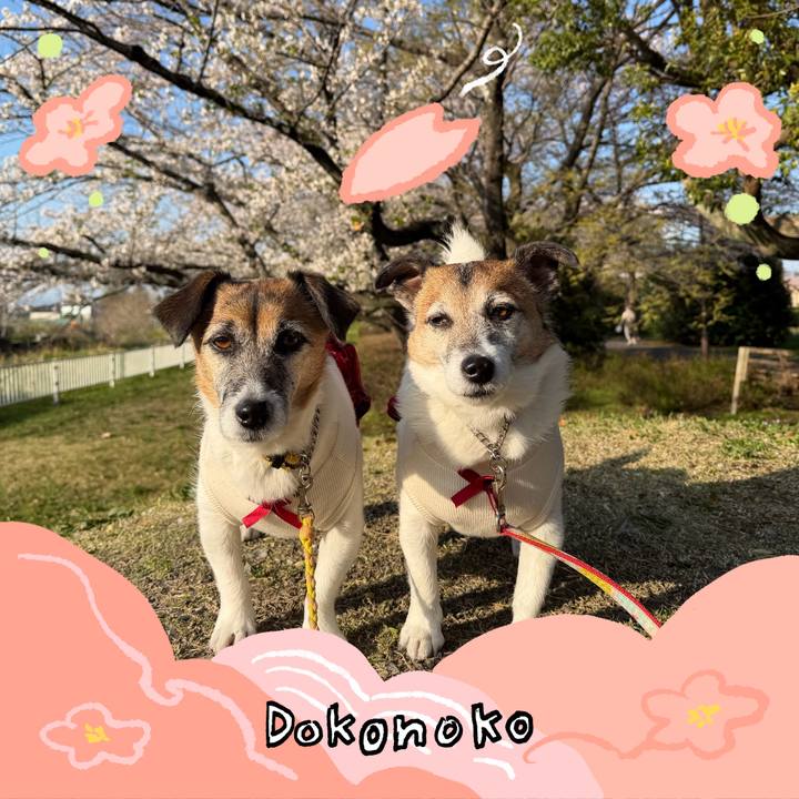 629089b6 c73a 489a 977e 820201040e45 1775204439225