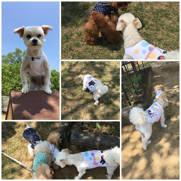 62909e22 a09a 476f 95c6 8c26b331a5f3 1524971996729