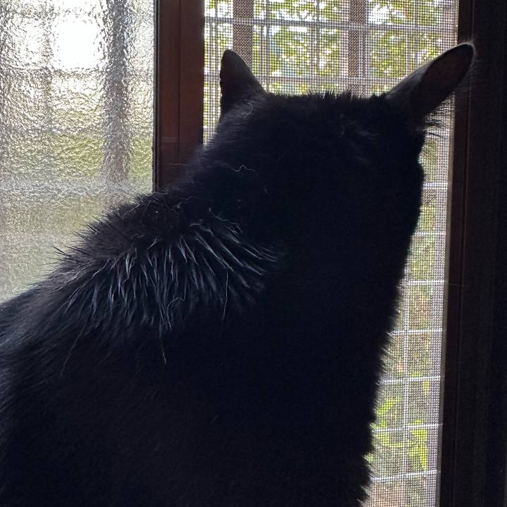 6290c088 7064 44ce 8101 25bc278b3f3c 1664331615807